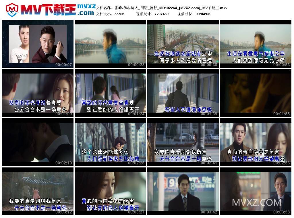 张峰-伤心诗人_国语_流行_MD102264